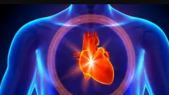 Kalp Sağlığında Cinsiyet Farkı Şaşırttı: Erkeklerin İki Kat Daha Fazla Terlemesi Gerekiyor